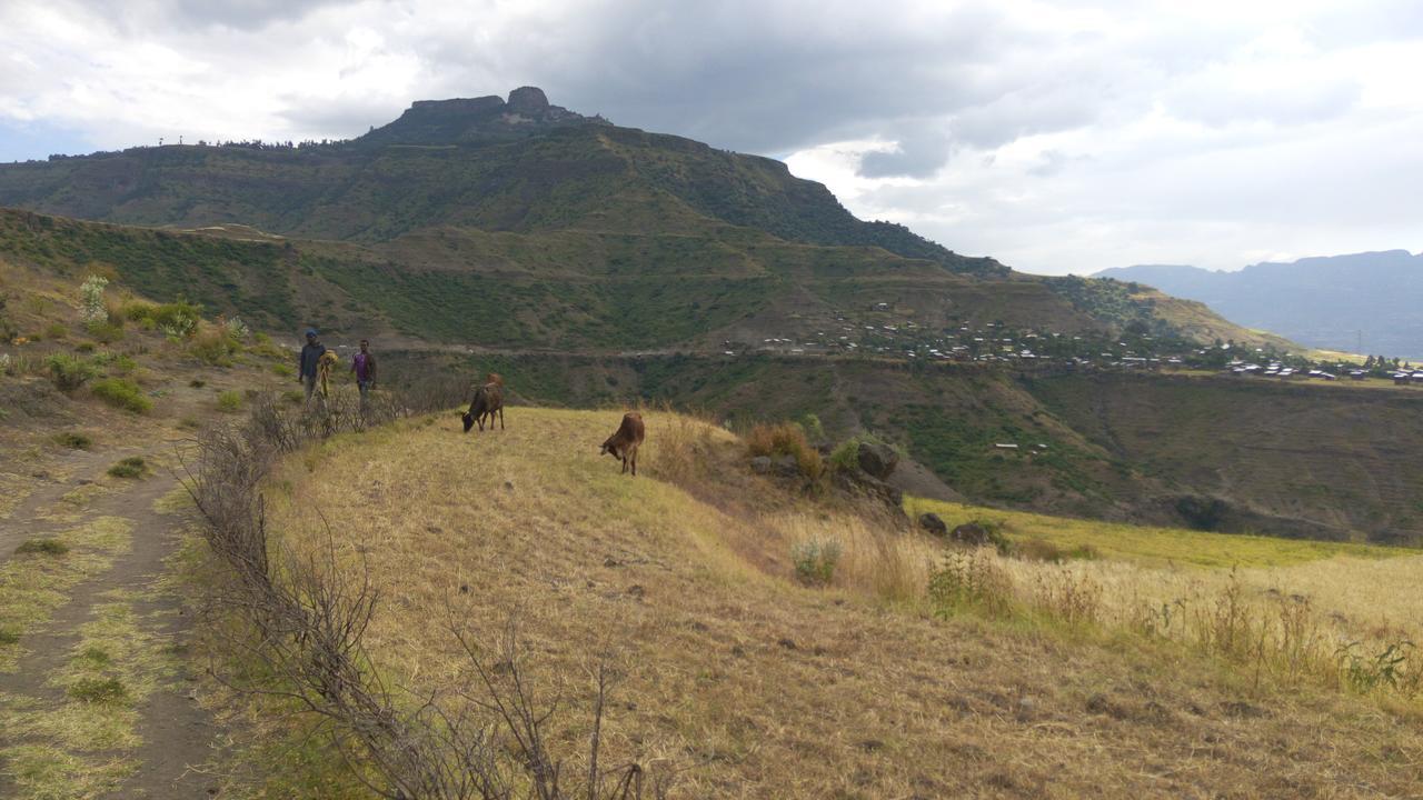Zan-Seyoum Hotel Lalībela Esterno foto